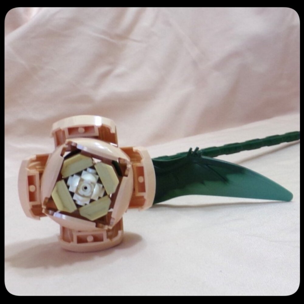 LEGO Botanical Flowers - 1 pcs Rose Tan Curved - Individual Sale 10280 Bouquet - Picture 7 of 8